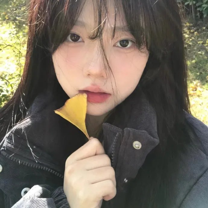 征服北极的人